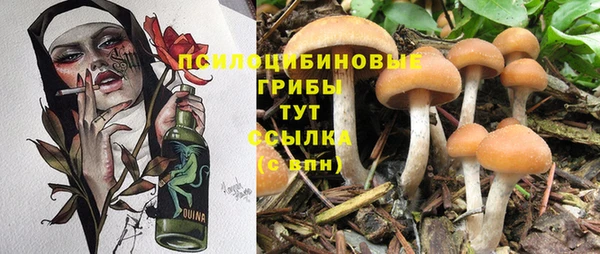 прущая мука Вязники