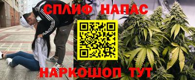 наркотики Камышлов