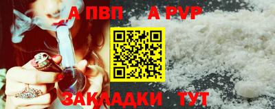 стаф Кандалакша