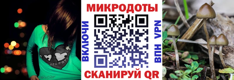 цены   Отрадный  Псилоцибиновые грибы Cubensis 