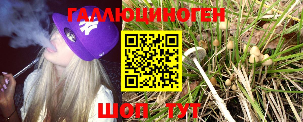 Галлюциногенные грибы Psilocybine cubensis  Галлюциногенные грибы ЛСД  Отрадный  Вход с VPN 