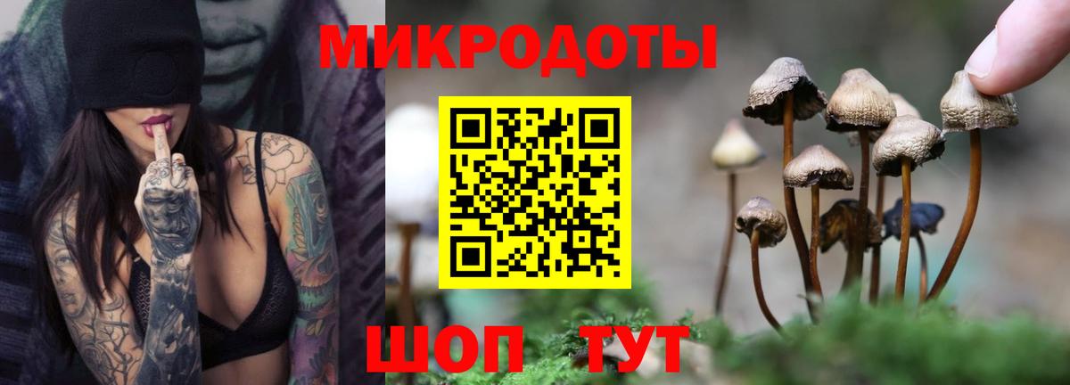 Галлюциногенные грибы прущие грибы Отрадный